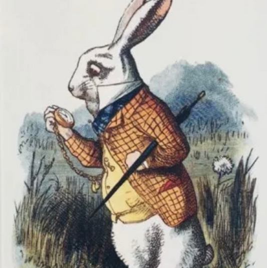Customisation - Alice in Wonderland White Rabbit