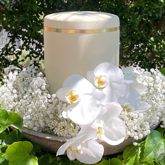 Elegant and simple ivory coloured bio funeral urn with a band of delicate brushed gold amidst a flower arrangements of white orchids and delicate baby's breath flowers..