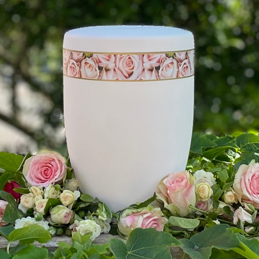 Beautiful white urn for ashes with its band of delicate pink roses sitting on a bed of roses and foliage.