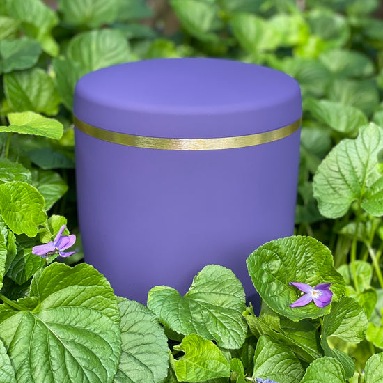 Stunning violet coloured funeral urn with with a brushed gold ring amongst foliage and violet flowers.